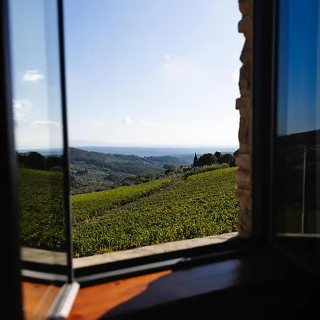 Le Sughere - Privacy, Piscina E Vista Panoramica 빌라 카스텔리나마르티마
